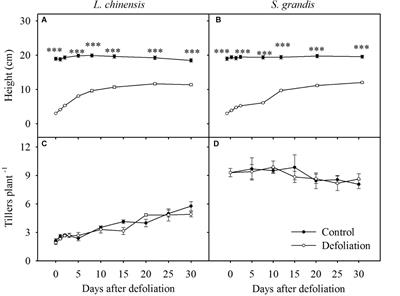 Resource Reallocation of Two Grass Species During Regrowth After Defoliation